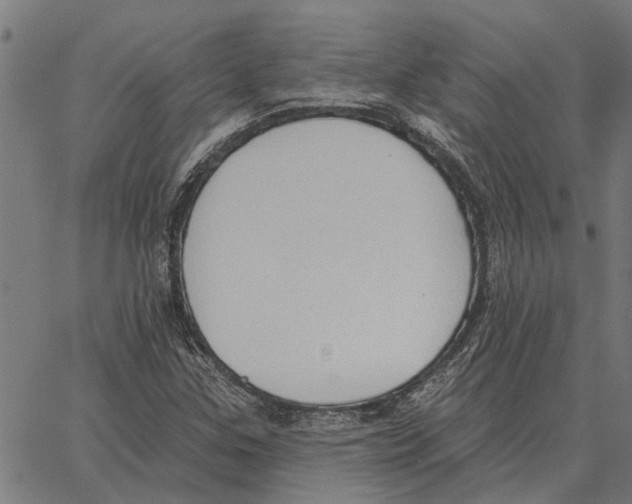 X0000062891307200602101731