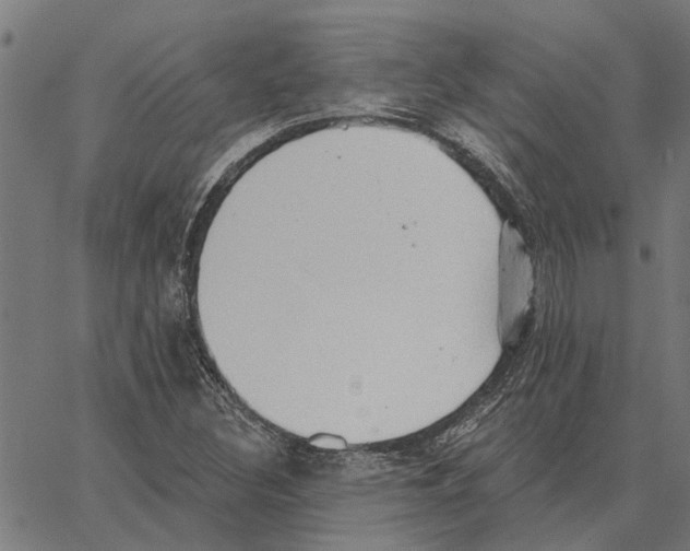 X0000062891308200602101731