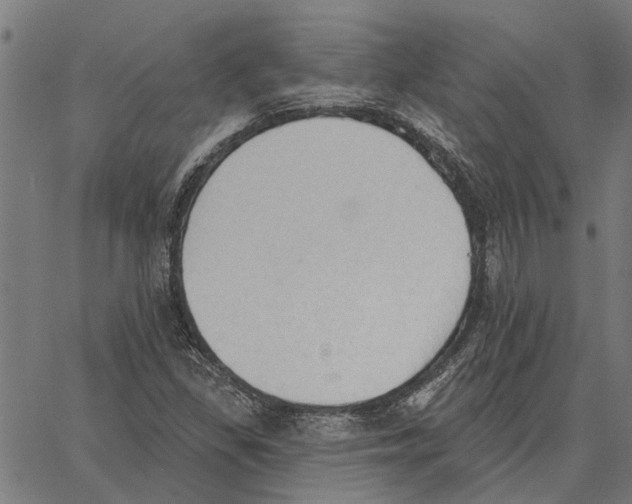 X0000062891309200602101731