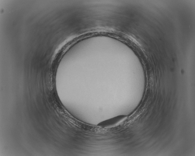 X0000062891310200602101731