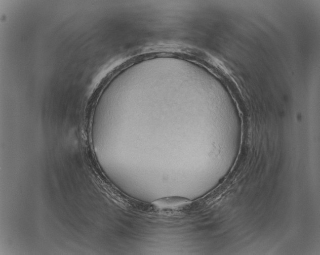 X0000062891312200602101731