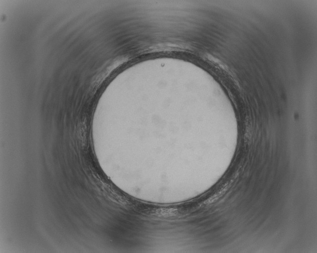 X0000062891313200602101731