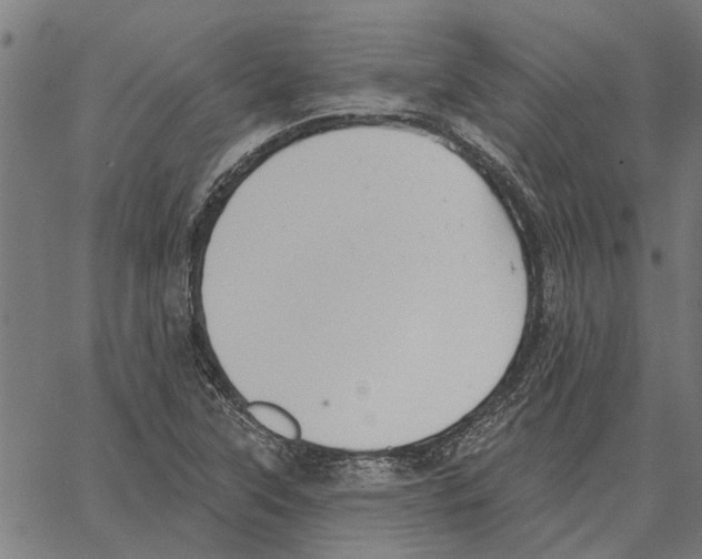 X0000062891315200602101731