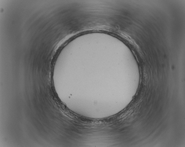 X0000062891316200602101731