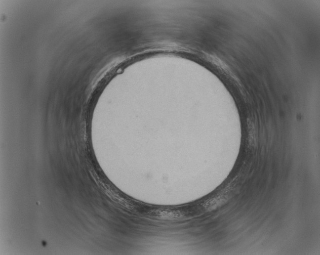 X0000062891318200602101731