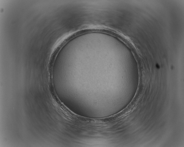 X0000062891319200602101731