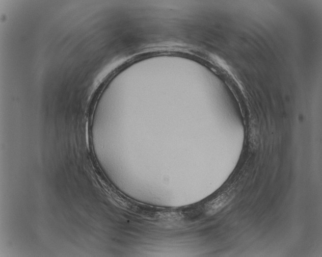 X0000062891320200602101731