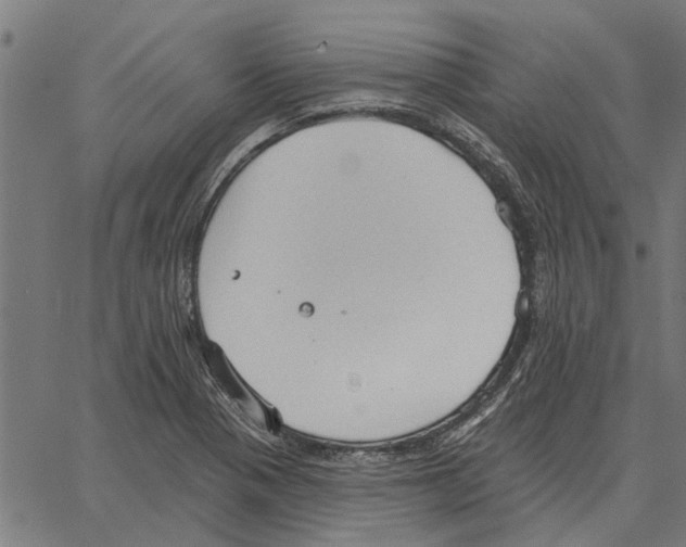 X0000062891321200602101731