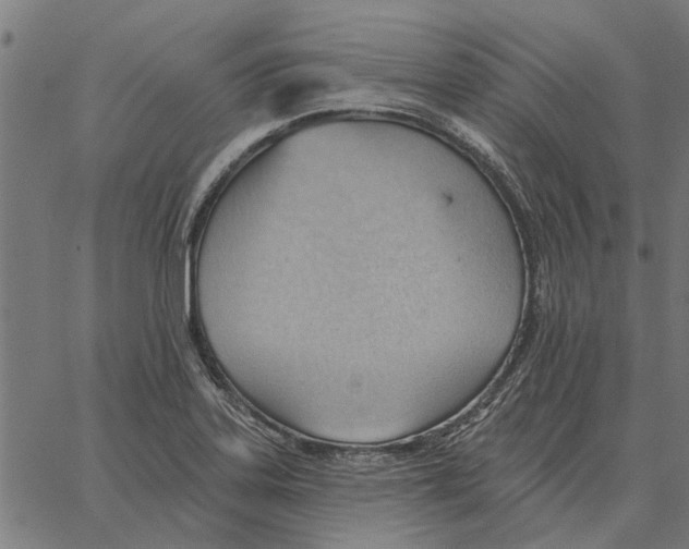 X0000062891323200602101731