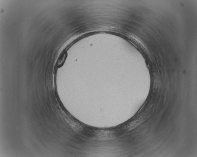 X0000062891324200602101731