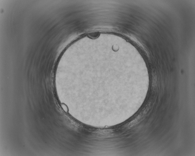 X0000062891325200602101731