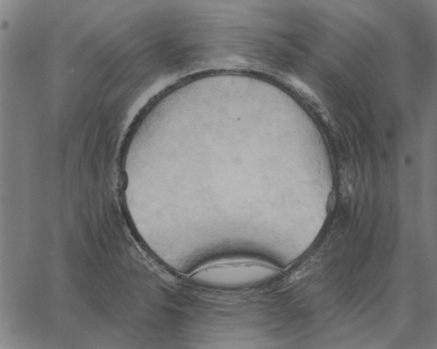 X0000062891326200602101731