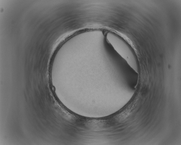 X0000062891327200602101731