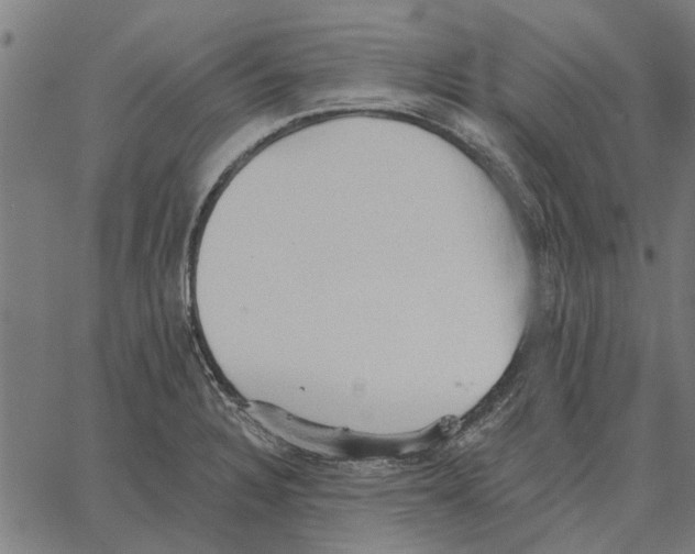 X0000062891328200602101731