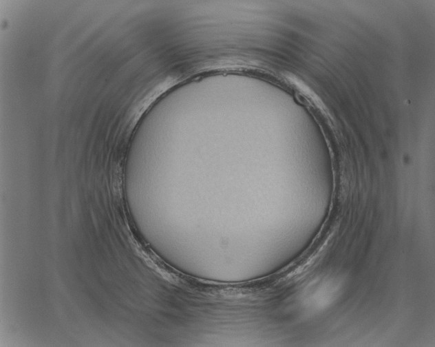 X0000062891329200602101732