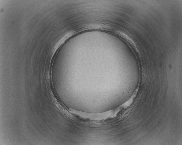 X0000062891330200602101732