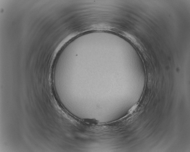 X0000062891331200602101732