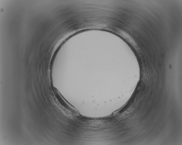 X0000062891332200602101732