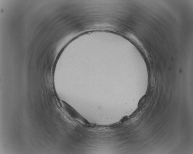 X0000062891336200602101732