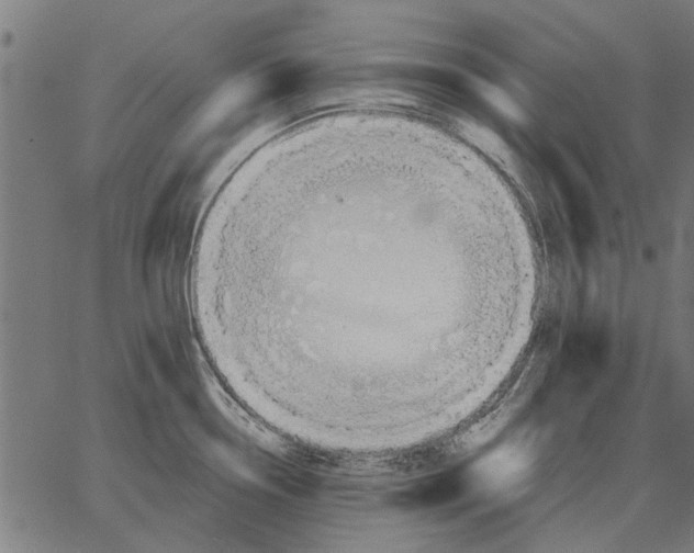 X0000062891338200602101732