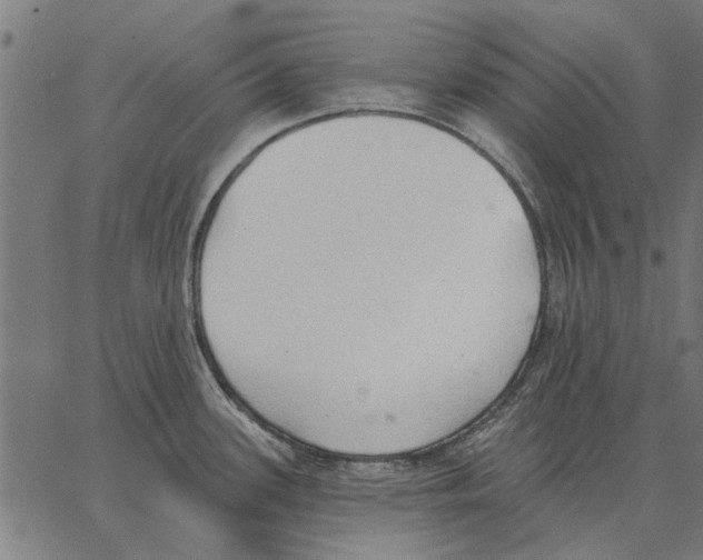 X0000062891339200602101732