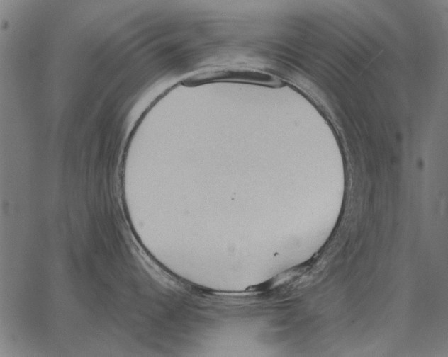 X0000062891344200602101732