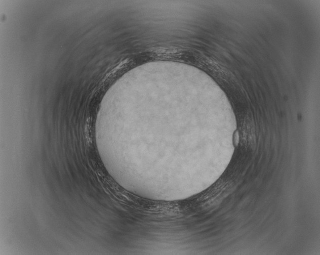 X0000062891346200602101731