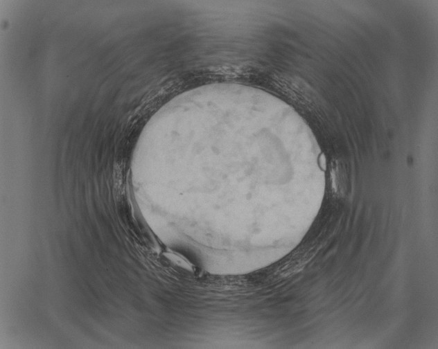 X0000062891347200602101731