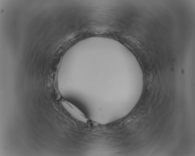 X0000062891349200602101731