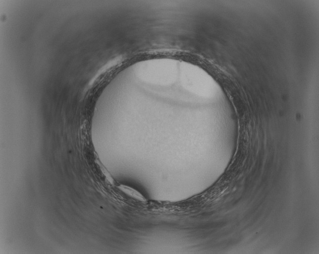 X0000062891351200602101731