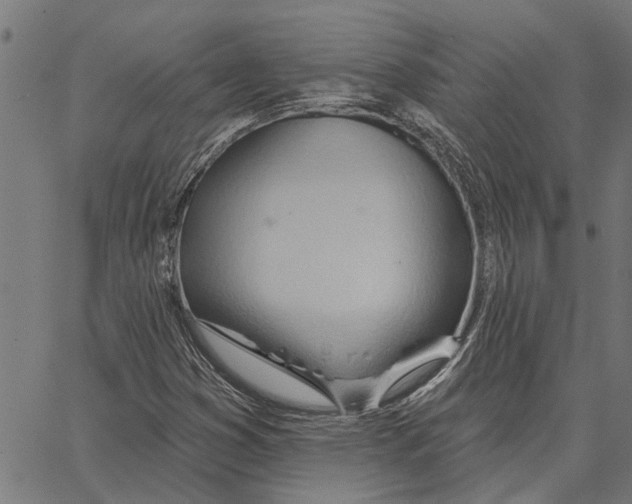 X0000062891353200602101731