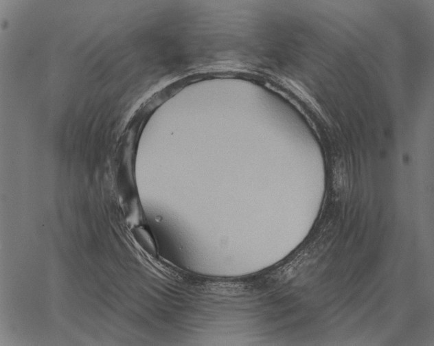 X0000062891356200602101731