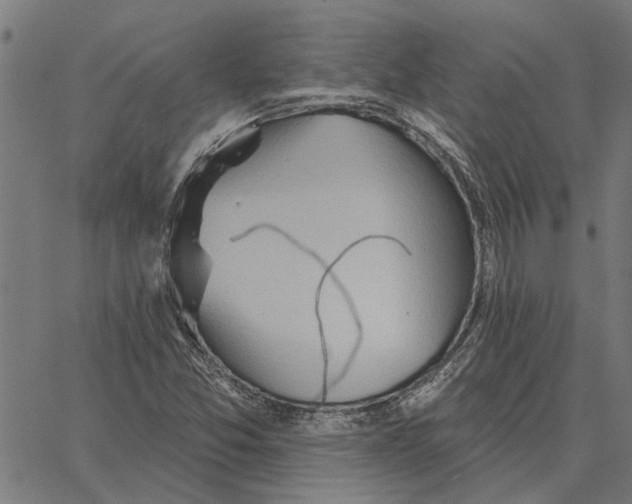 X0000062891357200602101731