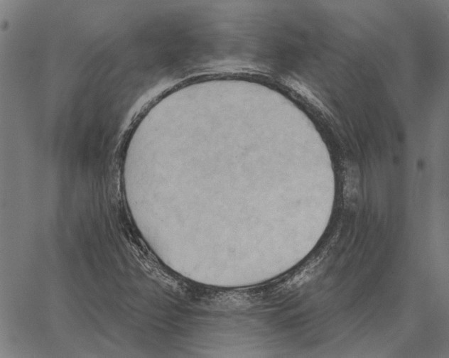 X0000062891358200602101731