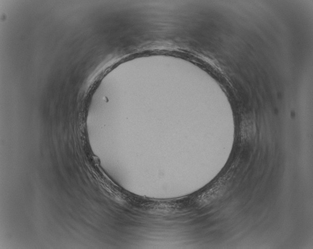 X0000062891359200602101731