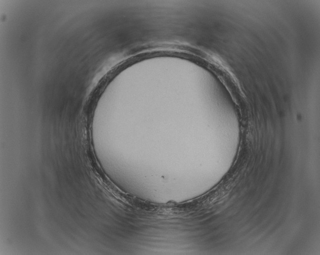 X0000062891360200602101731