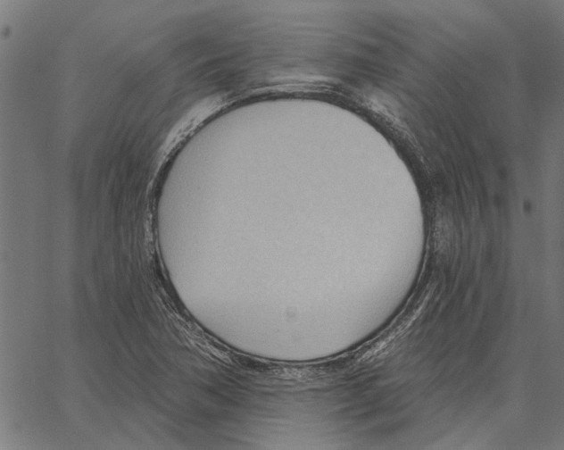 X0000062891362200602101731