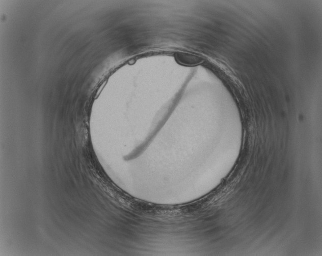 X0000062891363200602101731