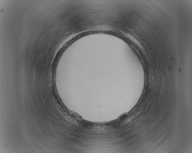 X0000062891364200602101731