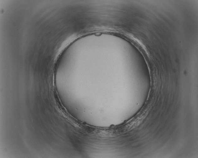 X0000062891365200602101731