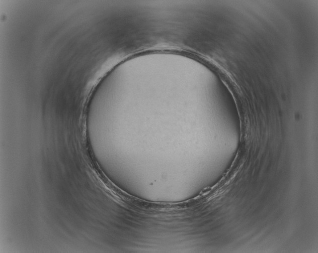 X0000062891367200602101731