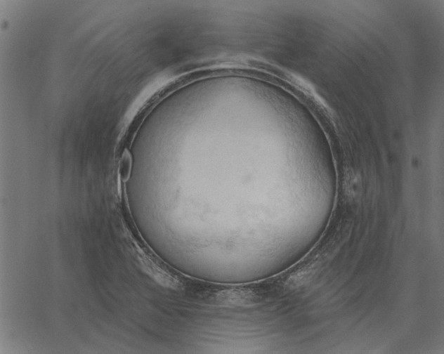 X0000062891368200602101731