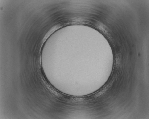 X0000062891370200602101731