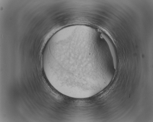 X0000062891371200602101731