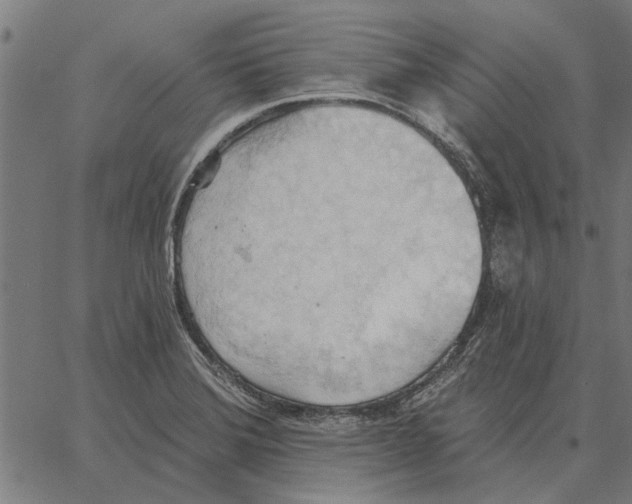 X0000062891372200602101731