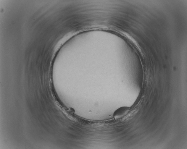 X0000062891373200602101731