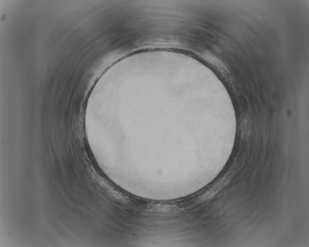 X0000062891374200602101731