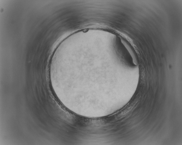 X0000062891375200602101730