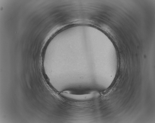 X0000062891376200602101730