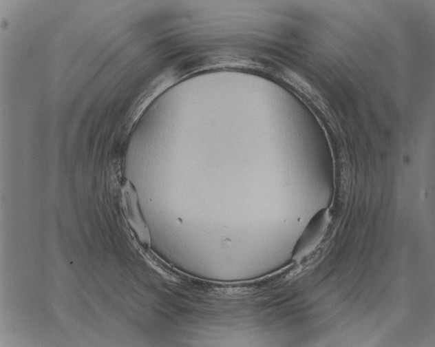 X0000062891377200602101730